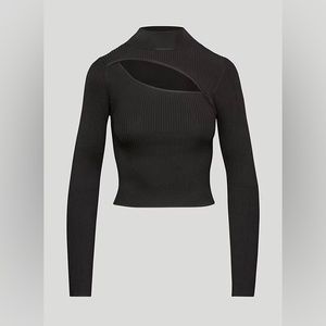 Aritzia Babaton IMPRINT SWEATER